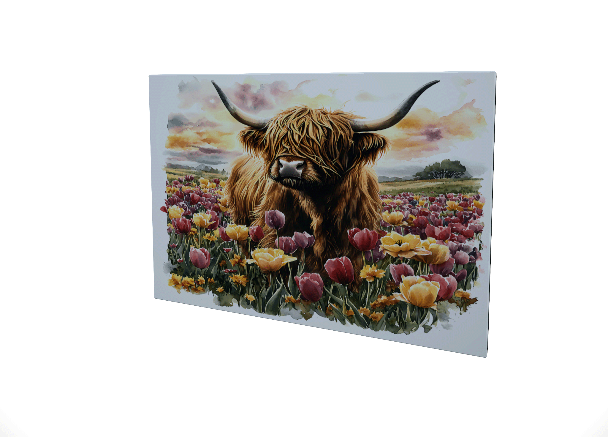 Highland Cow... Glossy Aluminium Print